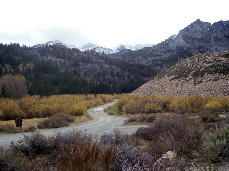 A dirt road winding through golden brush toward snow-dusted mountains