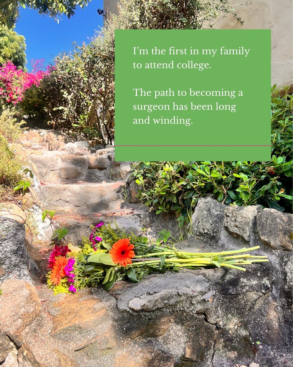 Stone steps with flowers. I'm the first in my family to attend college. The path to becoming a surgeon has been long and winding.