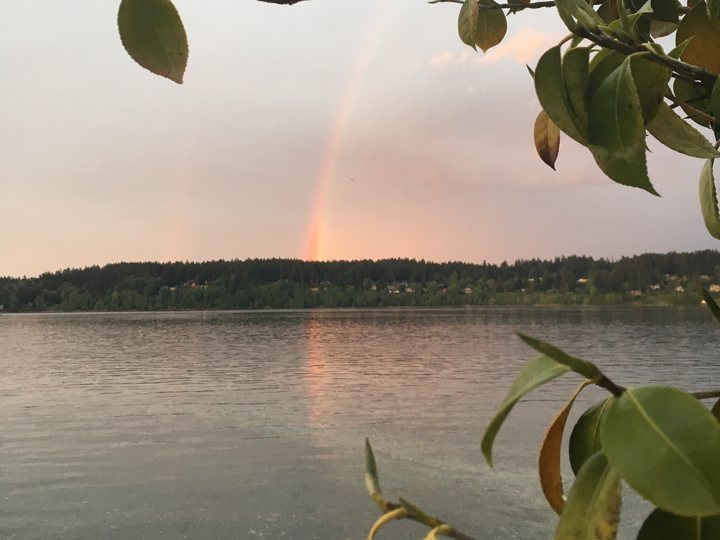 A rainbow over Puget Sound at dusk, framed by leaves